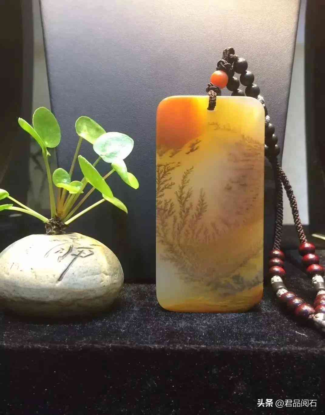 黄龙玉好不好(黄龙玉好不好养)插图9 黄龙玉好不好(黄龙玉好不好养)插图9