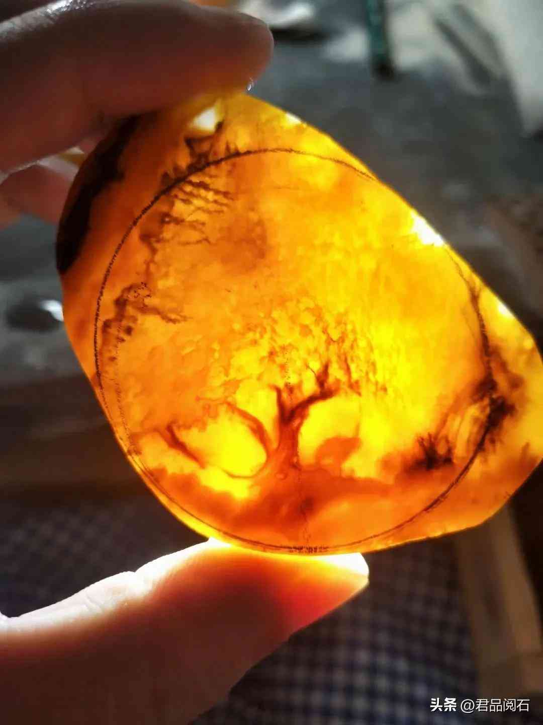 黄龙玉好不好(黄龙玉好不好养)插图11 黄龙玉好不好(黄龙玉好不好养)插图11