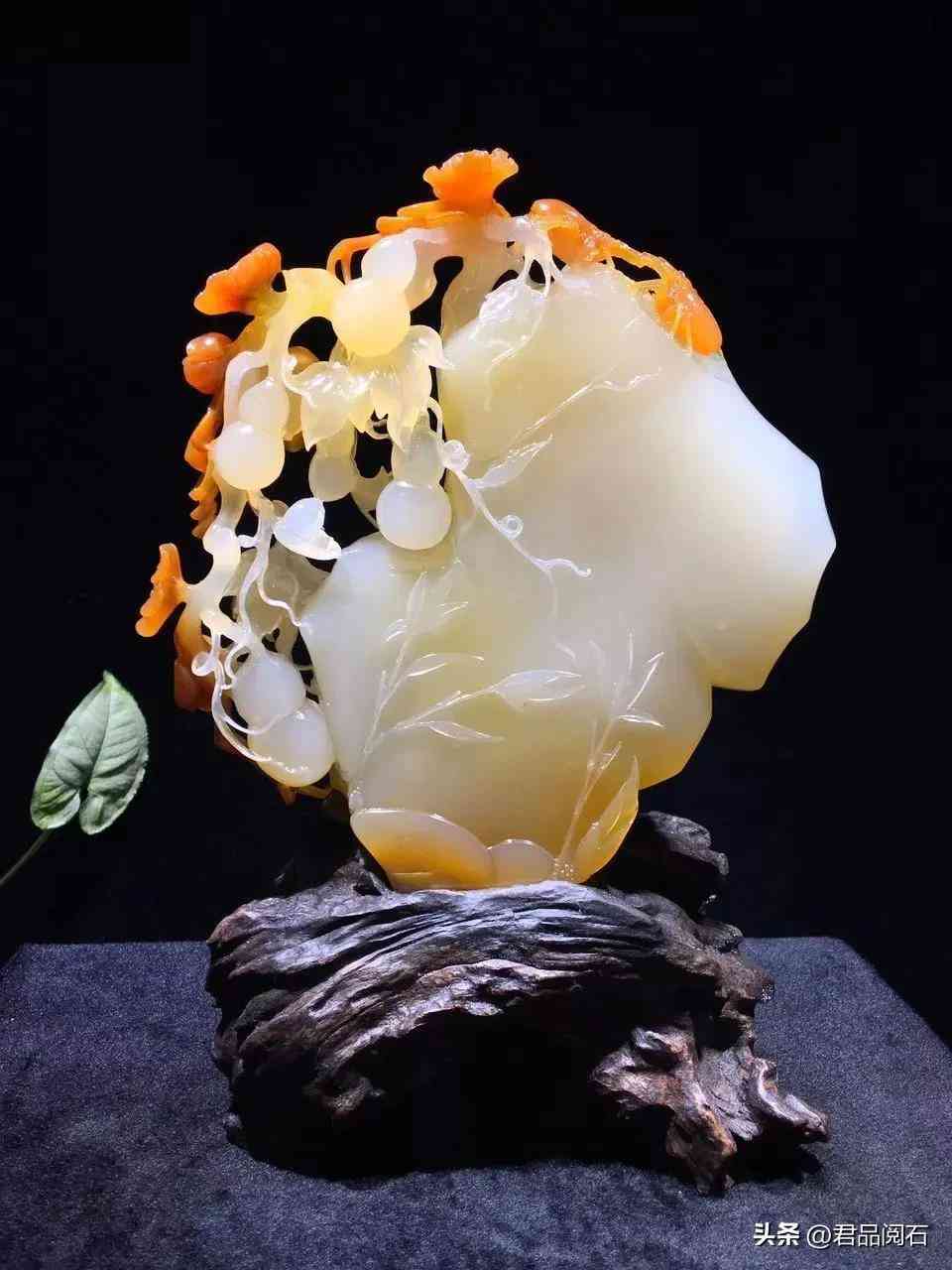 黄龙玉好不好(黄龙玉好不好养)插图18 黄龙玉好不好(黄龙玉好不好养)插图18