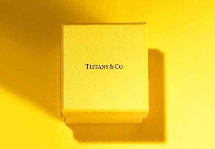 tiffany蒂芙尼项链价格(蒂芙尼项链多少钱是真的吗)插图15