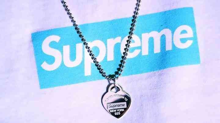 tiffany蒂芙尼项链价格(蒂芙尼项链多少钱是真的吗)插图18