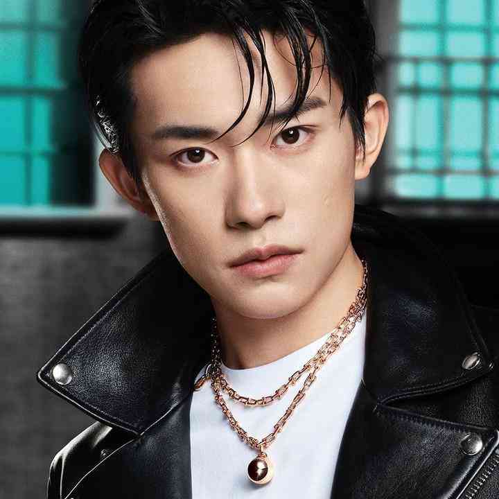 tiffany蒂芙尼项链价格(蒂芙尼项链多少钱是真的吗)插图29