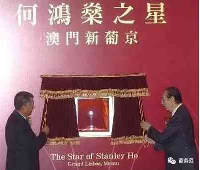 二十克拉钻戒(二十克拉钻戒有多大)插图11