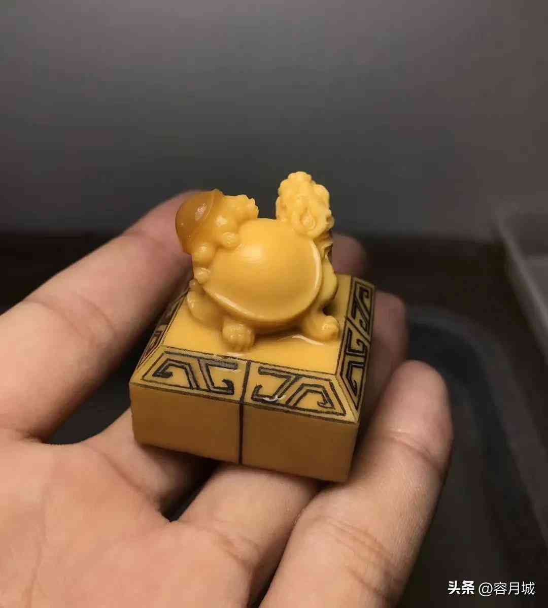 缅甸黄龙玉是什么档次的玉(缅甸黄龙玉是什么玉种)