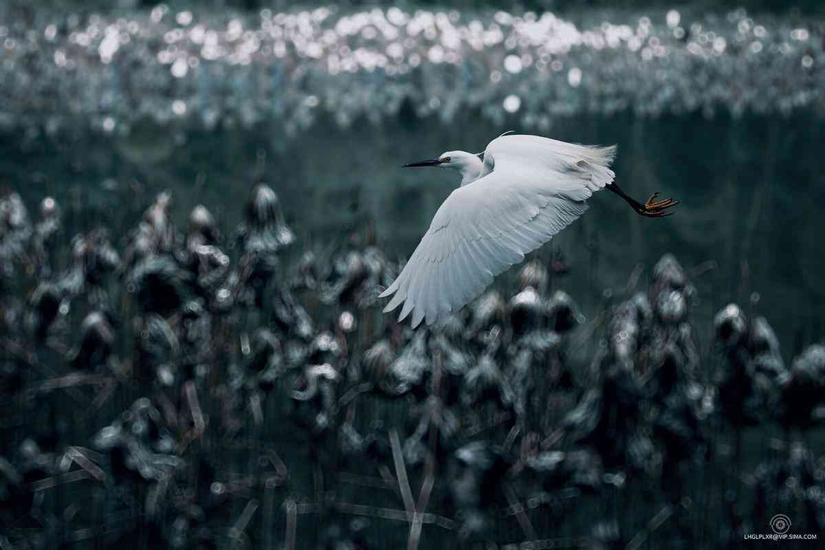 貔貅怎样佩戴才能进财(貔貅怎样佩戴才能进财项链)插图2