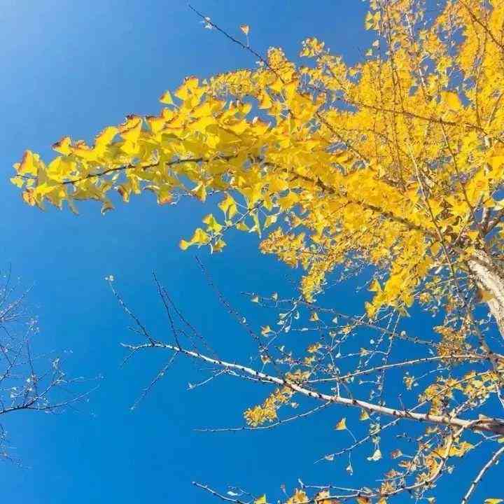 女士带南红手串的好处(女士带南红手串的禁忌)插图32