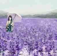 女士带南红手串的好处(女士带南红手串的禁忌)插图34