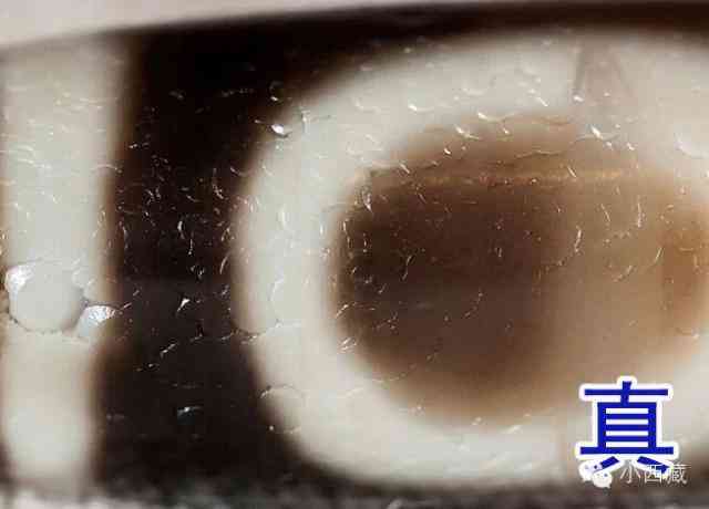 怎么辨别天珠的真假好坏(如何鉴别天珠真假)插图10