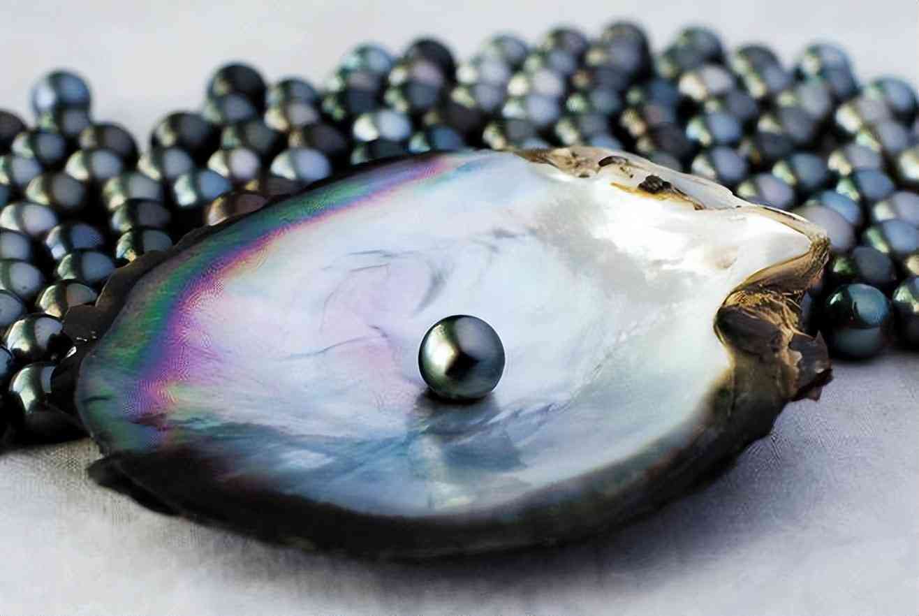 黑珍珠项链(黑珍珠项链的寓意)插图4