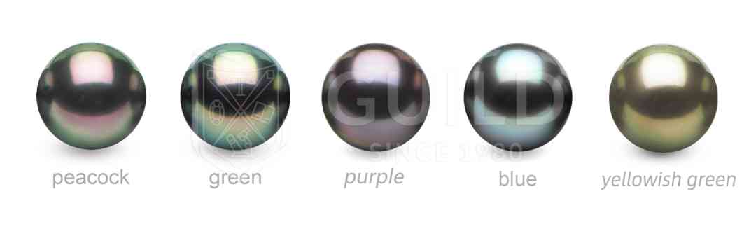 黑珍珠项链(黑珍珠项链的寓意)插图10