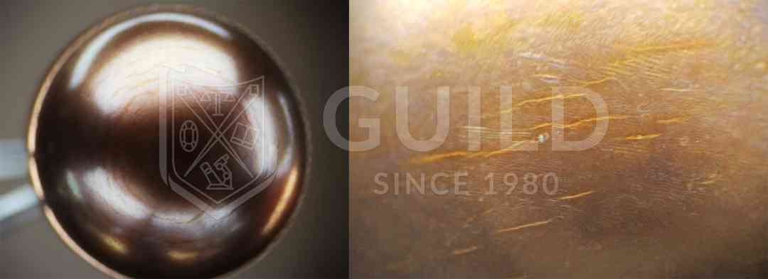 黑珍珠项链(黑珍珠项链的寓意)插图11