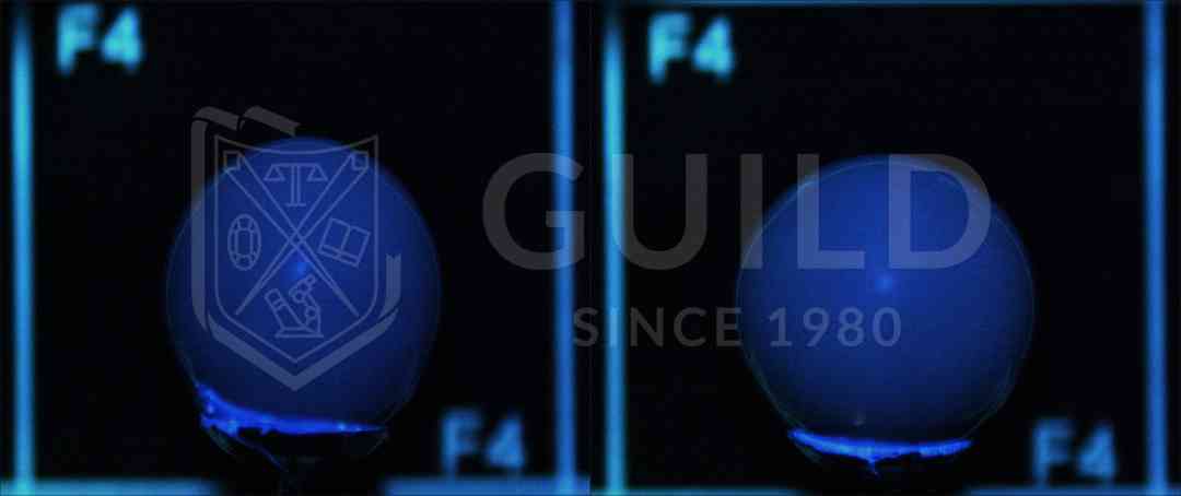 黑珍珠项链(黑珍珠项链的寓意)插图13