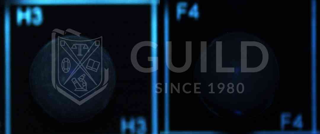 黑珍珠项链(黑珍珠项链的寓意)插图14