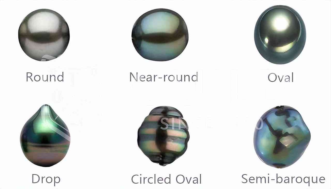 黑珍珠项链(黑珍珠项链的寓意)插图15