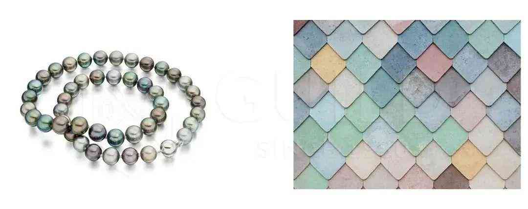 黑珍珠项链(黑珍珠项链的寓意)插图24