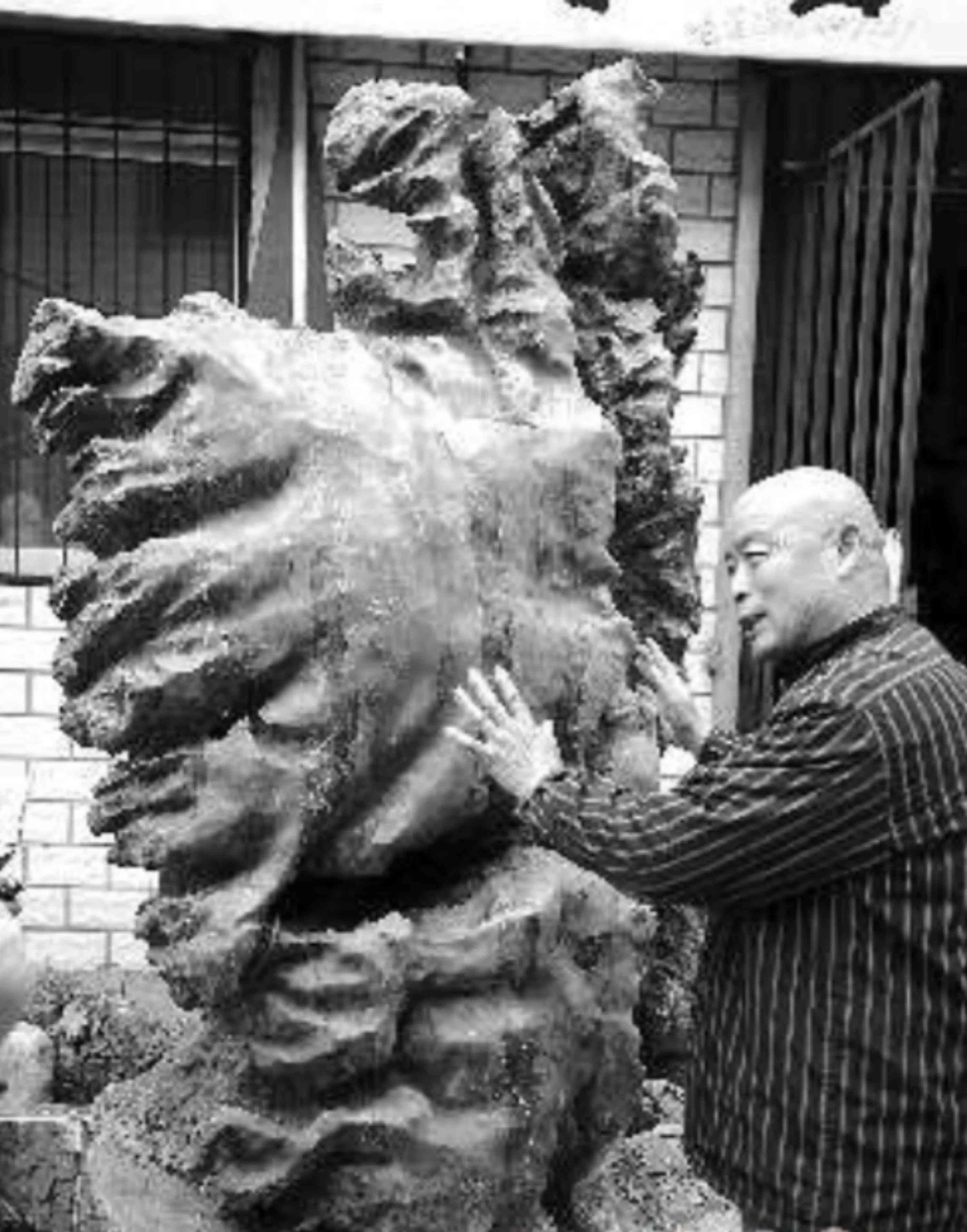 黑陨石价格多少钱一克(黑陨石价格能值多少钱一克)插图2