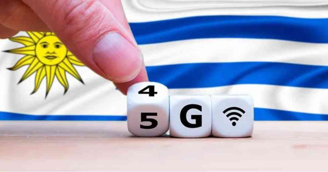 乌拉圭紫水晶800贵吗(乌拉圭紫水晶800贵吗值钱吗)插图12 乌拉圭紫水晶800贵吗(乌拉圭紫水晶800贵吗值钱吗)插图12