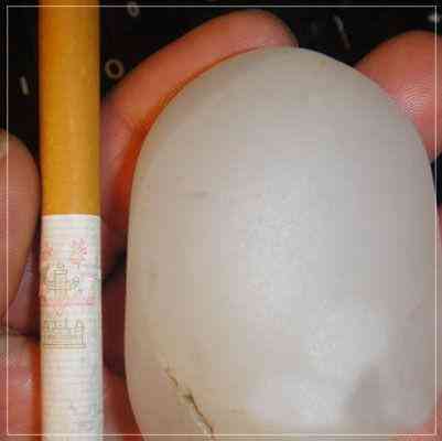 怎么辨别玉的好坏与真假(怎么辨别玉的好坏与真假视频)插图2