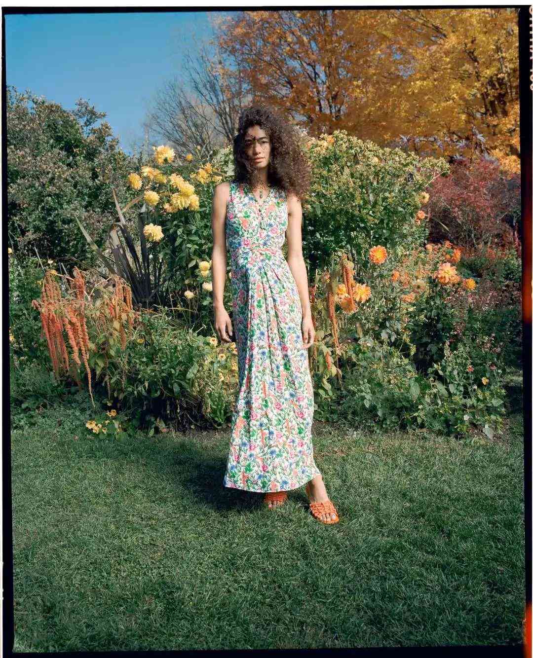 钻石小鸟钻石价格(钻石小鸟钻石价格是多少)插图5 钻石小鸟钻石价格(钻石小鸟钻石价格是多少)插图5