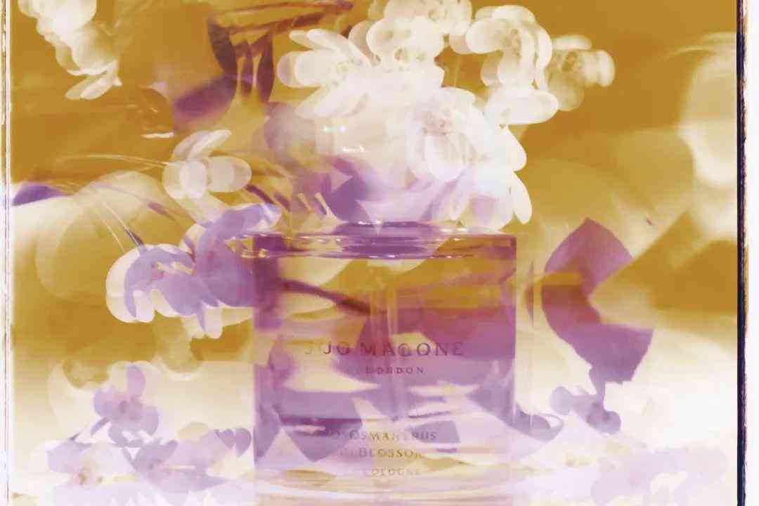 钻石小鸟钻石价格(钻石小鸟钻石价格是多少)插图14 钻石小鸟钻石价格(钻石小鸟钻石价格是多少)插图14