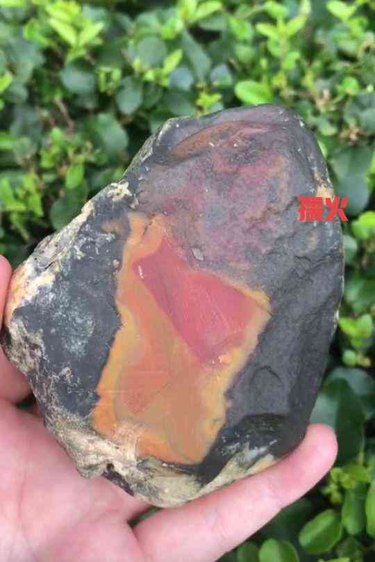 黄蜡石产地(黄蜡石哪里产地的最好)插图43