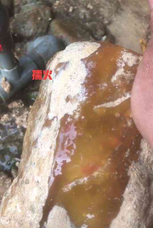 黄蜡石产地(黄蜡石哪里产地的最好)插图45