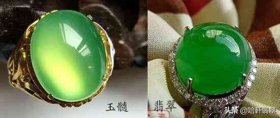 玉髓的价值(玉髓的价值高不高)插图7