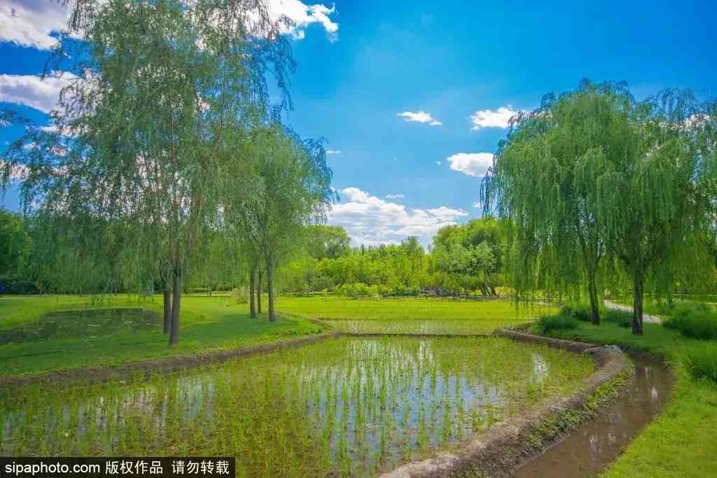 北京哪里买翡翠最放心(北京哪里买翡翠最放心的地方)插图6