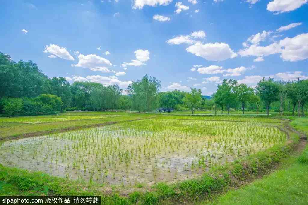 北京哪里买翡翠最放心(北京哪里买翡翠最放心的地方)插图7