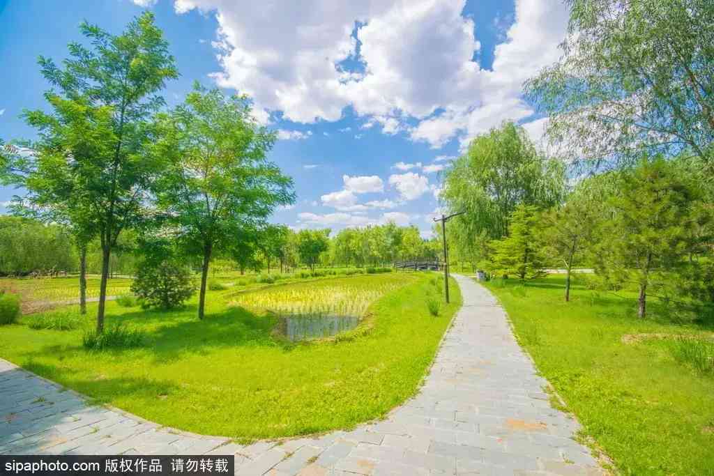 北京哪里买翡翠最放心(北京哪里买翡翠最放心的地方)插图8