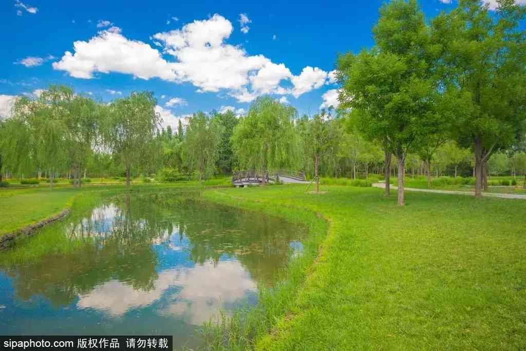 北京哪里买翡翠最放心(北京哪里买翡翠最放心的地方)插图10