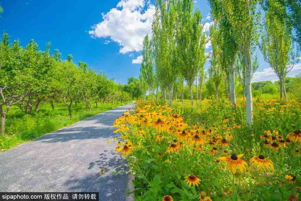 北京哪里买翡翠最放心(北京哪里买翡翠最放心的地方)插图11