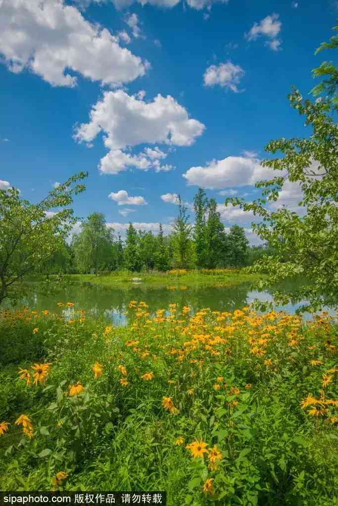 北京哪里买翡翠最放心(北京哪里买翡翠最放心的地方)插图13