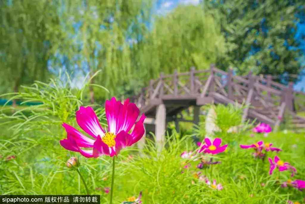 北京哪里买翡翠最放心(北京哪里买翡翠最放心的地方)插图14