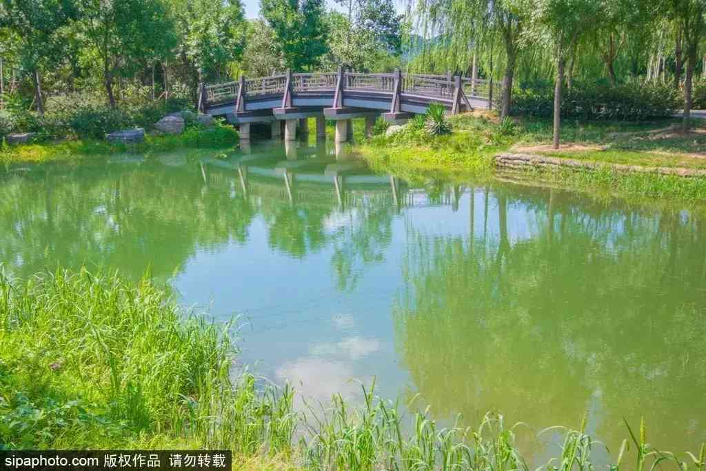 北京哪里买翡翠最放心(北京哪里买翡翠最放心的地方)插图17