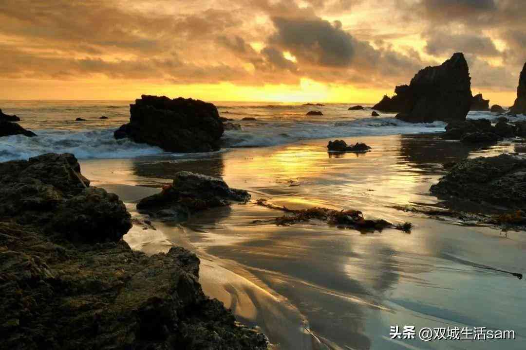 海水黑珍珠价格多少一颗(海水黑珍珠价格多少一颗啊)插图3