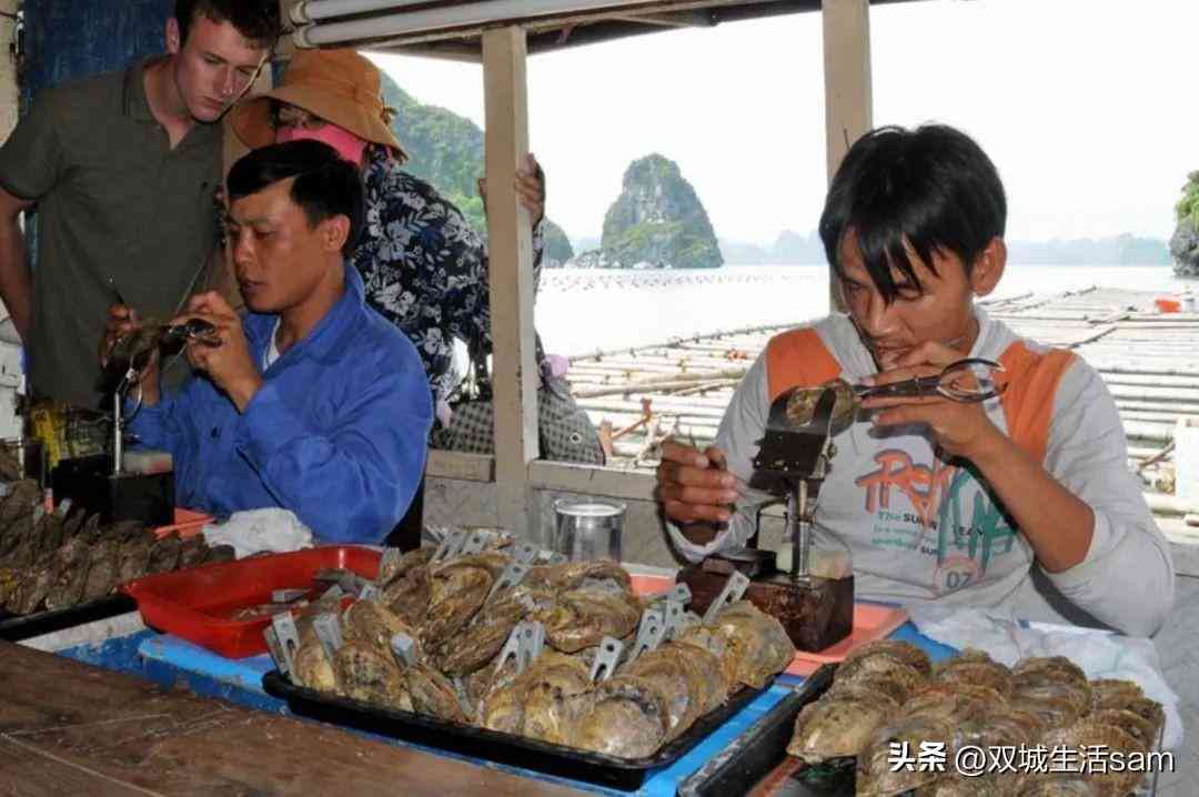 海水黑珍珠价格多少一颗(海水黑珍珠价格多少一颗啊)插图4