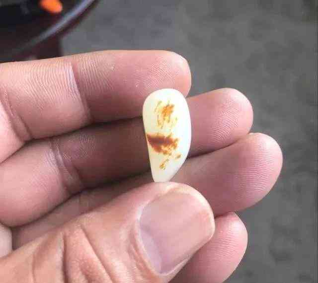 和田玉籽料值钱吗(青海和田玉籽料值钱吗)插图5 和田玉籽料值钱吗(青海和田玉籽料值钱吗)插图5