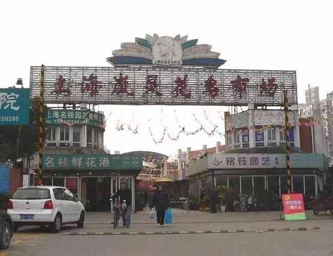 中国哪里可以捡到翡翠原石(中国哪里可以捡到翡翠原石的地方)插图3