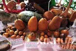 中国哪里可以捡到翡翠原石(中国哪里可以捡到翡翠原石的地方)插图20