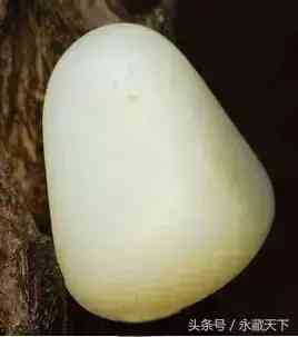 怎么判断是不是羊脂玉(怎么判断是不是羊脂玉茶具)插图2