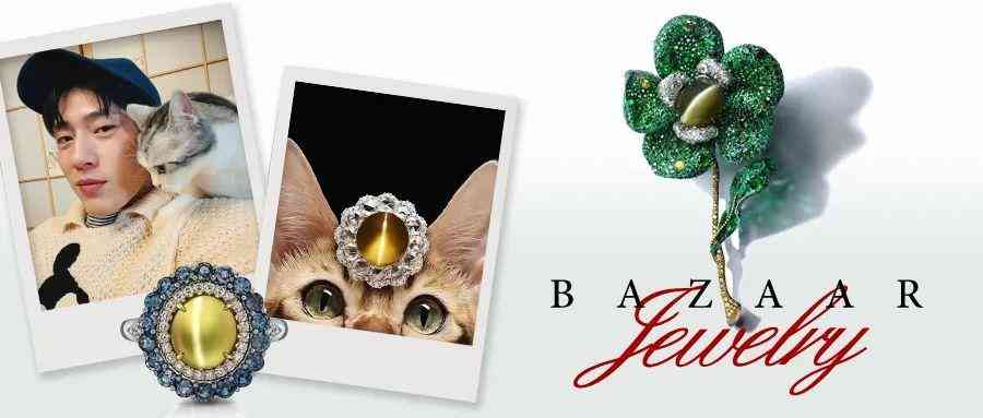 猫眼石手串多少钱(猫眼石手镯一般多少钱)