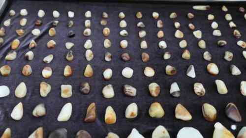 和田籽料皮子真假辨别(和田籽料皮子真假辨别视频)