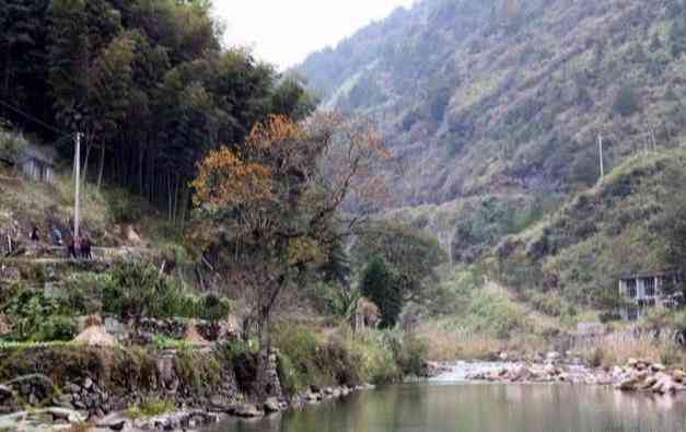 田黄石用手电筒鉴别