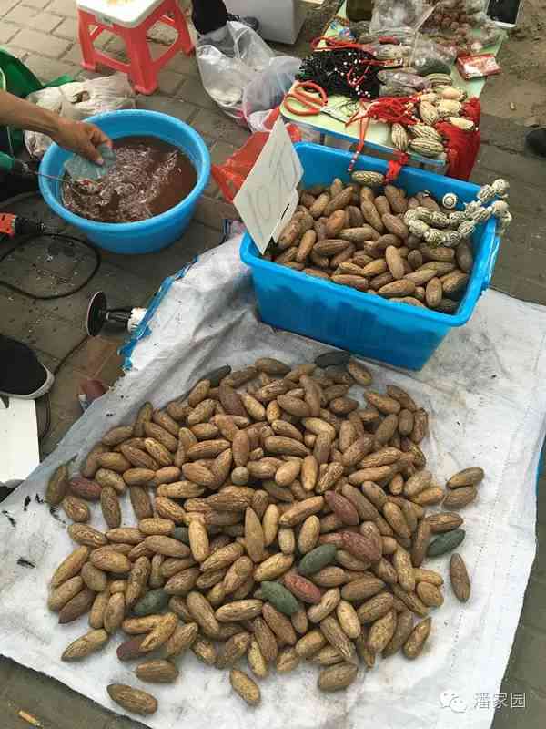 千眼菩提子的作用与功效(菩提子的作用与功效)