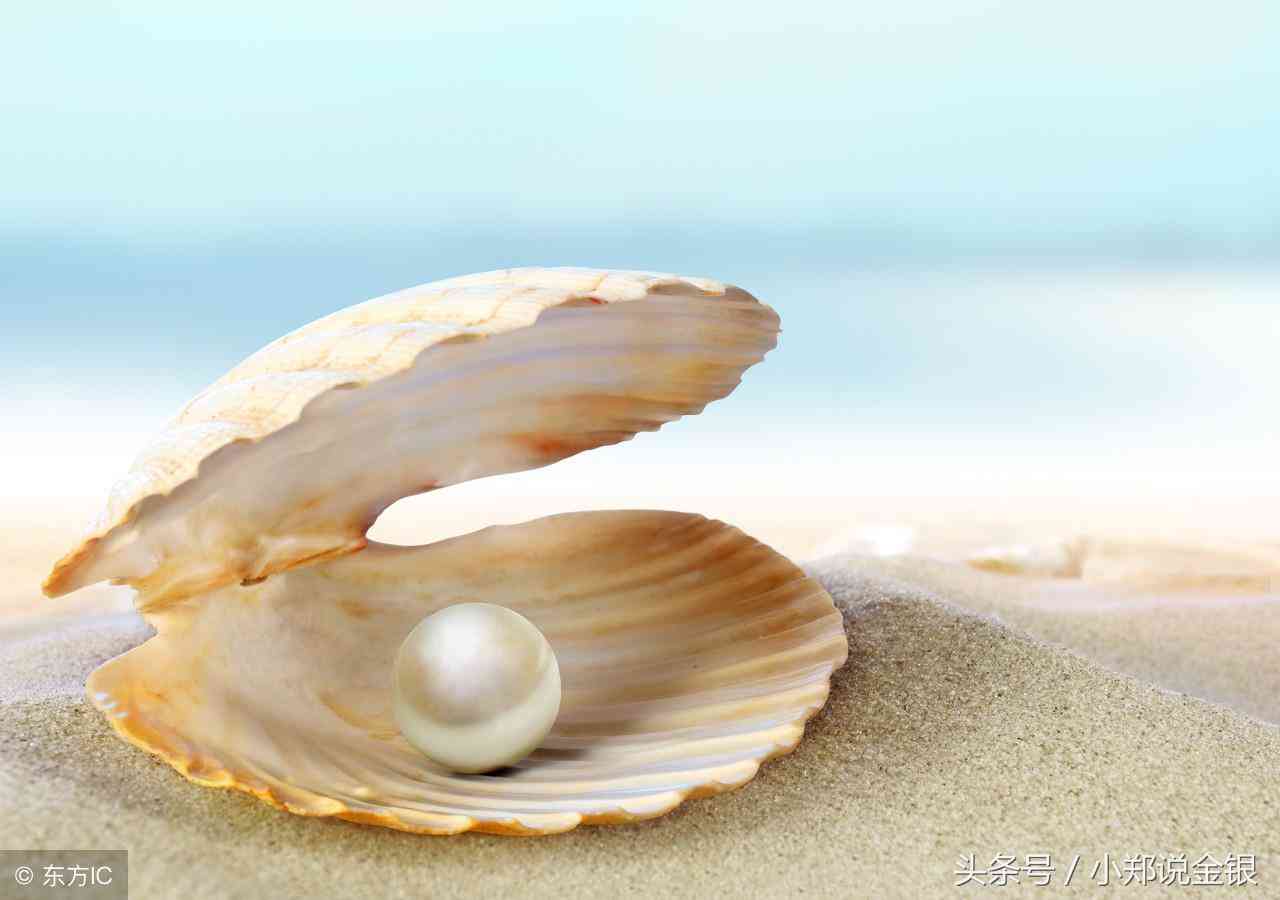 珍珠怎么辨别真假(金色珍珠怎么辨别真假)