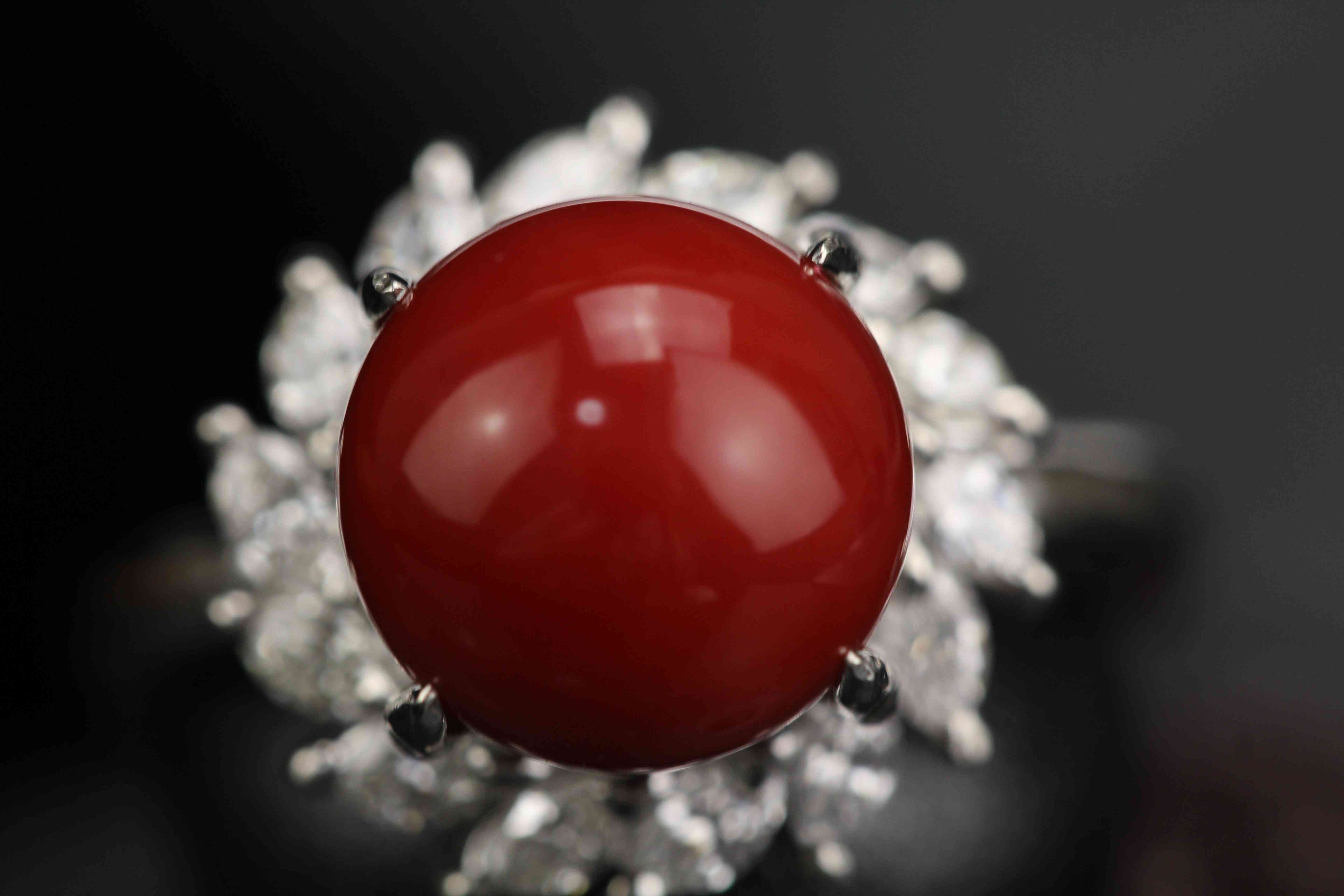 红珊瑚手链一般什么价位(印尼红珊瑚手链一般什么价位)