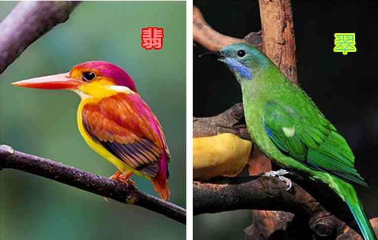 翡翠证书怎么看值不值钱(翡翠证书怎么看)