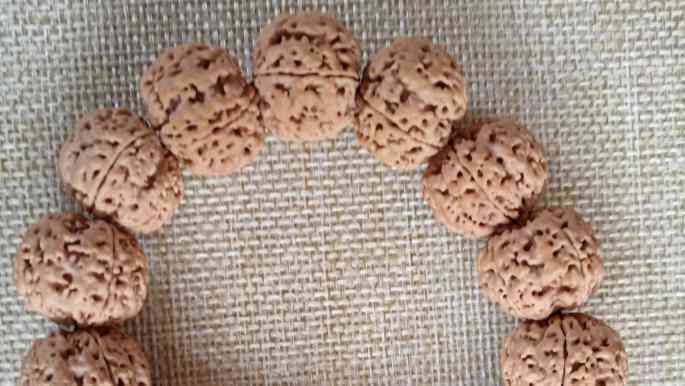 金刚菩提子(金刚菩提子真假辨别)