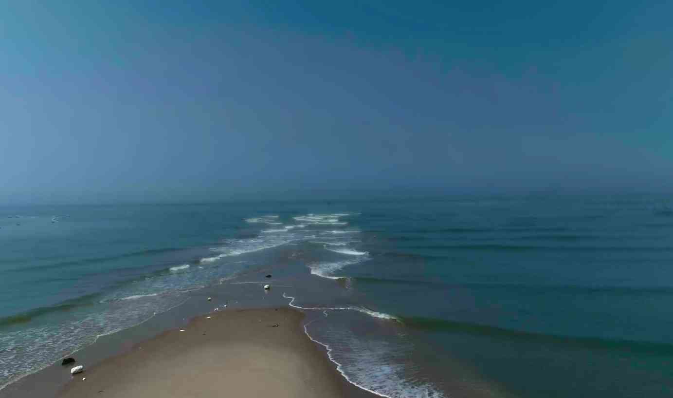 海柳手串有什么功效(海柳手串有什么功效和禁忌)